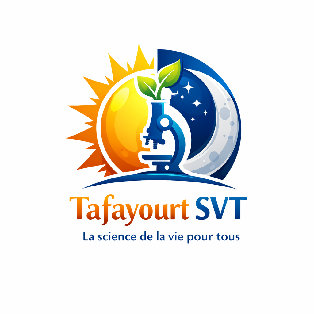Tafayourt SVT